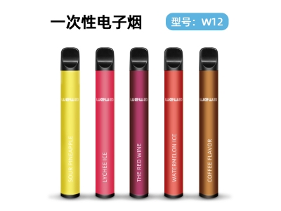 WEWA Disposable Vape Pen -W12